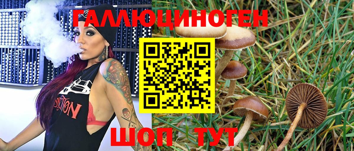 Псилоцибиновые грибы MAGIC MUSHROOMS Миасс