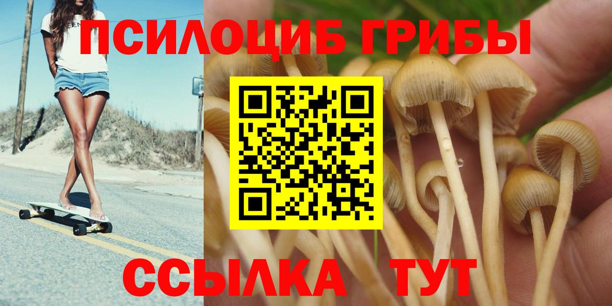 Миасс  цены   Вход с VPN  Галлюциногенные грибы Psilocybine cubensis  Псилоцибиновые грибы прущие грибы 